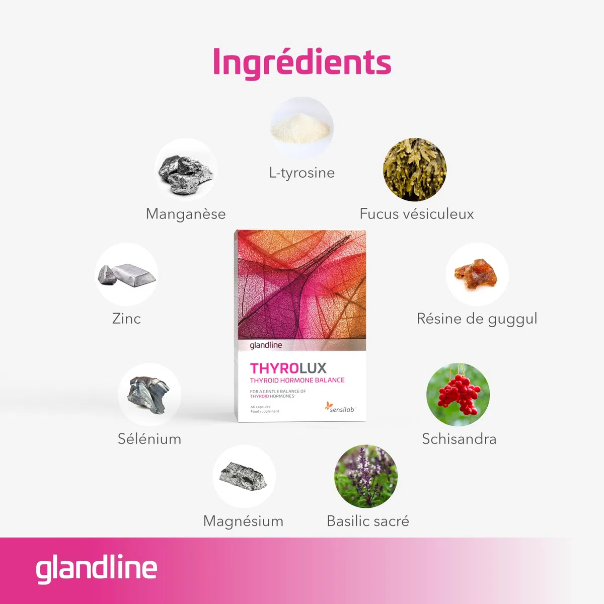 Sensilab Thyrolux - Thyroïde, L-Tyrosine et Iode, 240 Gélules | Sélénium, Magnésium, Basilic Sacré, Schisandra, Zinc, l'Iode contribue à une Fonction Thyroïdienne Normale