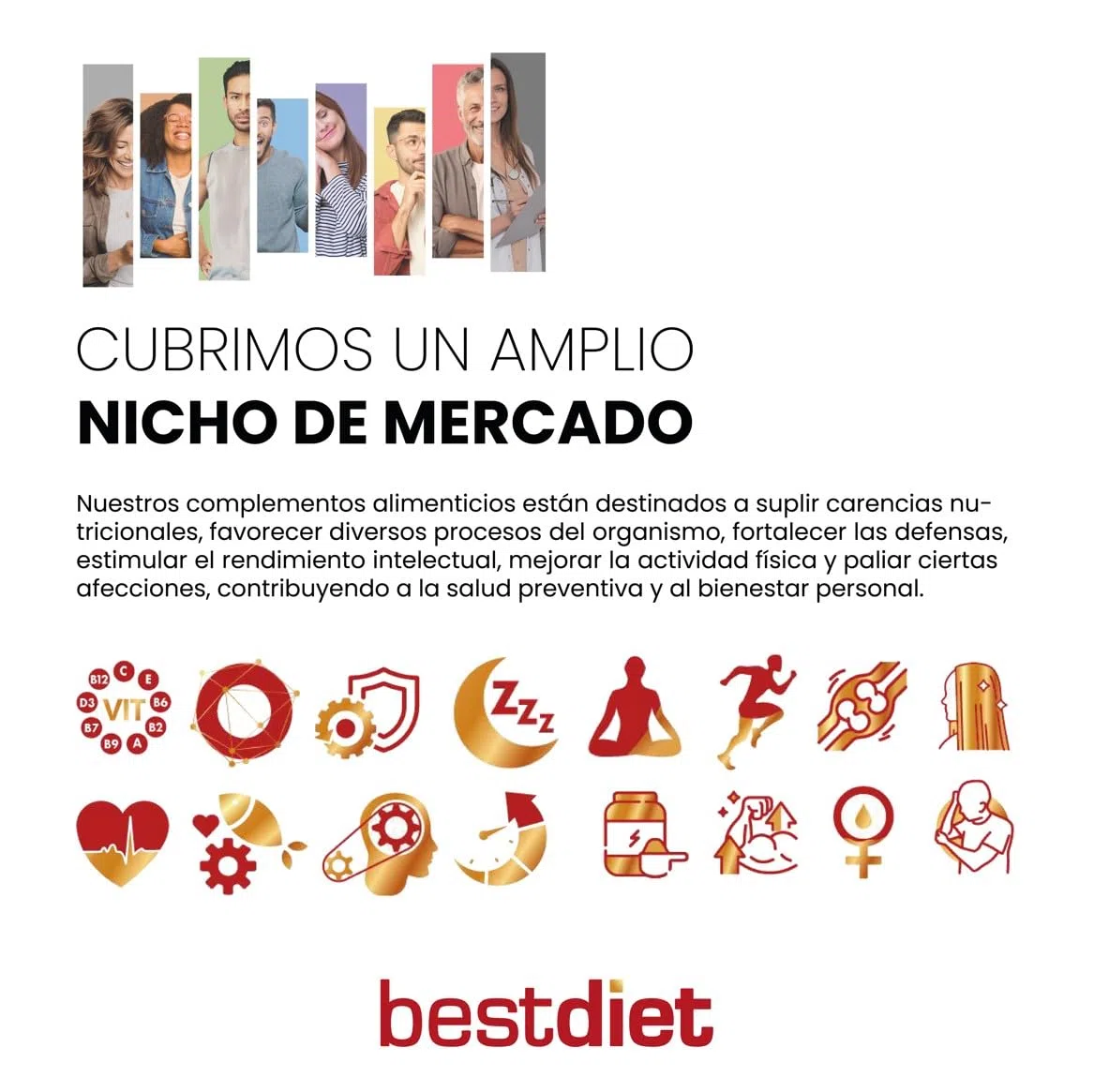 Pain Protéiné Céto Bestdiet - Sans Sucre, Riche en Fibres et Protéines, Lot de 3 x 500g