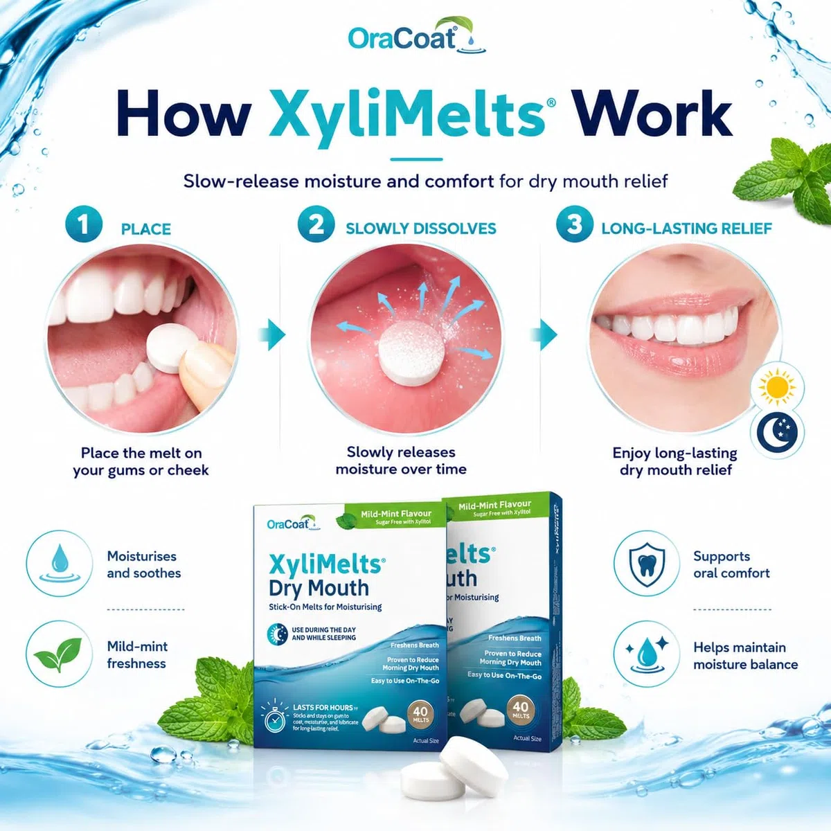 XYLIMELTS Pastilles adhérentes contre Sécheresse Buccale Caries Menthe Douce version d'essai