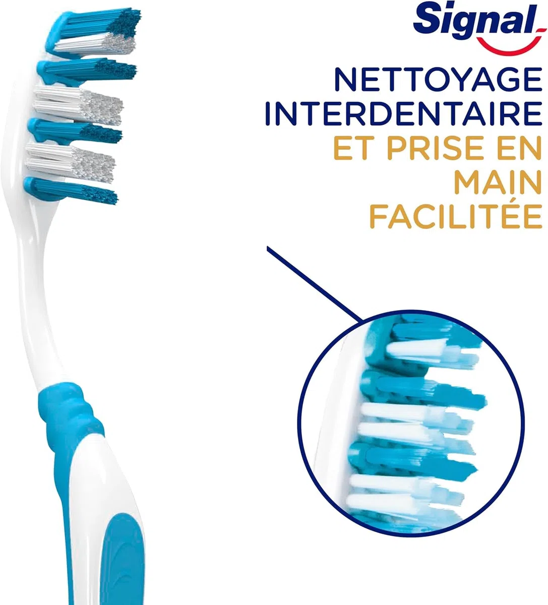 SIGNAL Brosse à Dents Integral 8 Soin Complet Action Anti-Plaque Dure Lot de 12