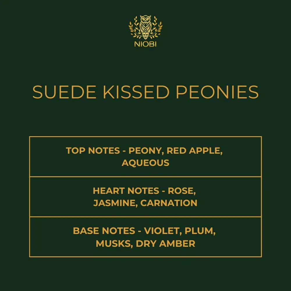 Bougie parfumée de luxe | Cire de noix de coco et de colza coulée à la main | Prune foncée, cerise noire et ambre | 250 g (pivoines baisées au daim)