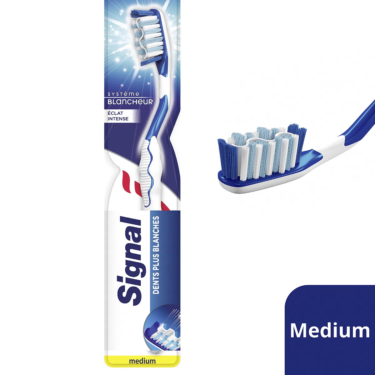 SIGNAL Brosse à Dents Blancheur Medium Lot de 12 Emballage Recyclé