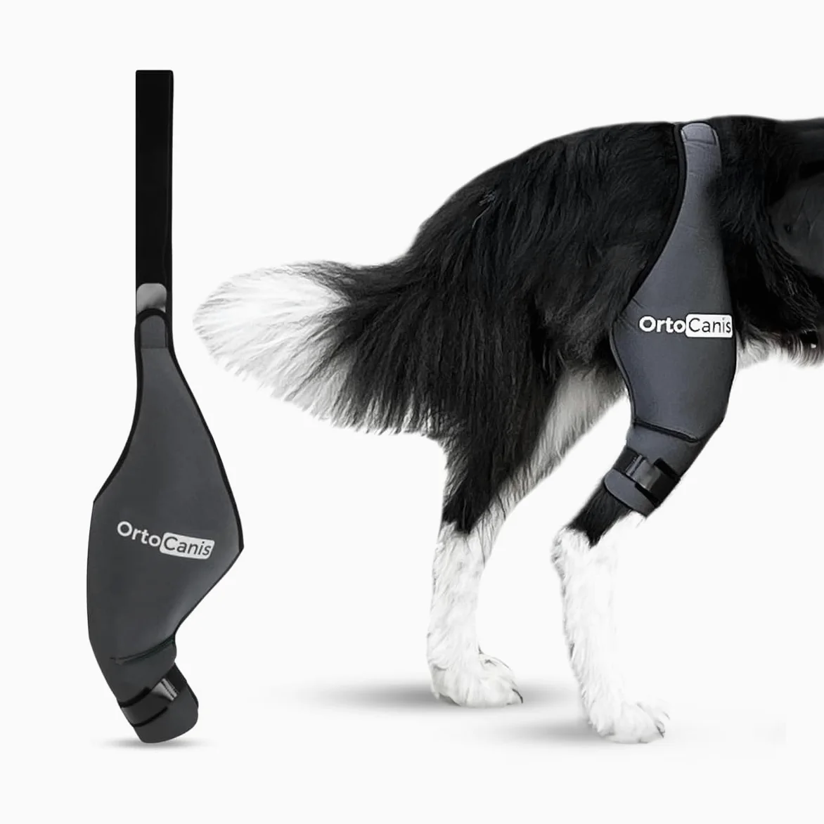 Ortocanis - Genouillère pour Chien - pour Patte Arrière Droite - Fabriquée en Néoprène ARD - pour Déchirure du LCA, Lésions Ligamentaires - Taille Large (32-36 cm)
