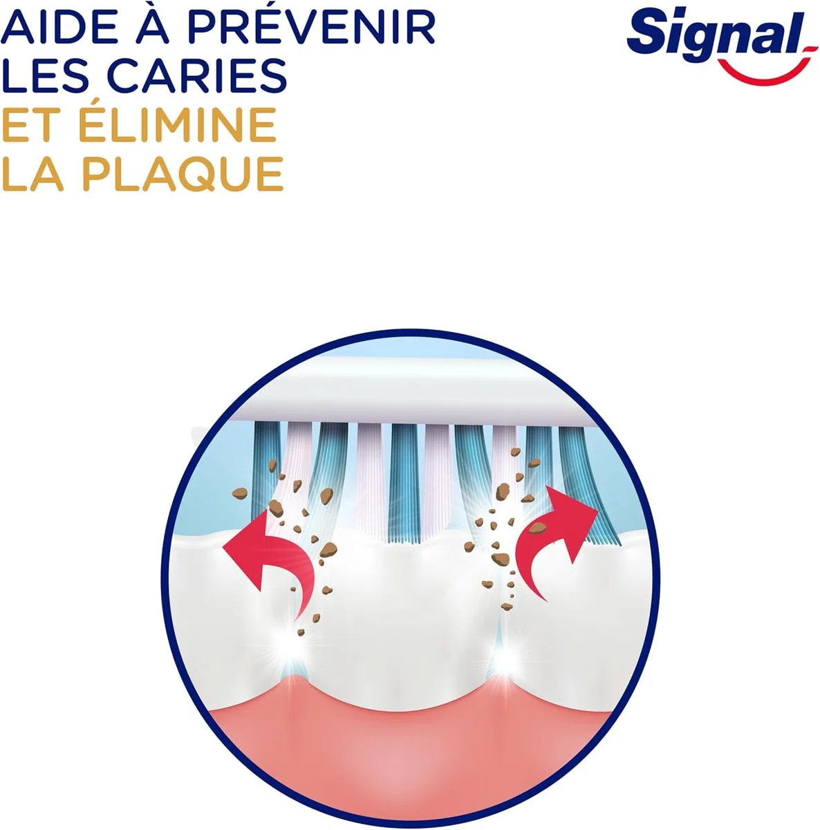 SIGNAL Brosse à Dents Integral 8 Soin Complet Action Anti-Plaque Dure Lot de 12