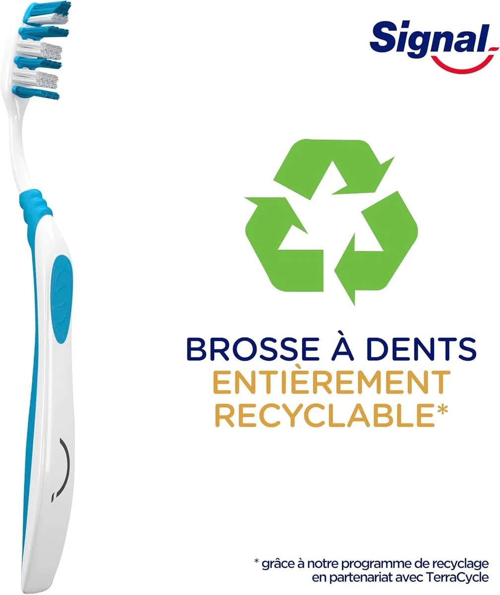 SIGNAL Brosse à Dents Integral 8 Soin Complet Action Anti-Plaque Dure Lot de 12