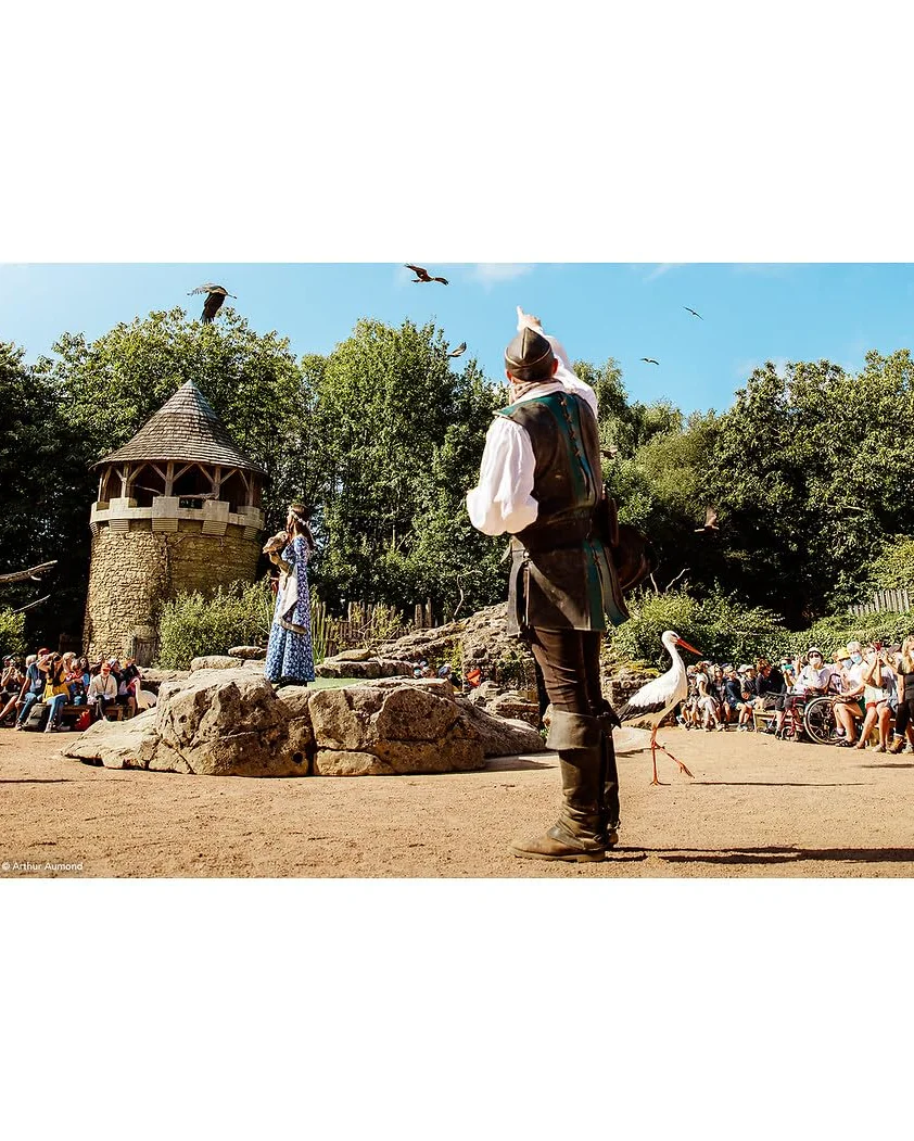Ticketbox - PUY du Fou - 1 Jour pour 1 Adulte - Coffret Cadeau - Idée Cadeau Divertissement